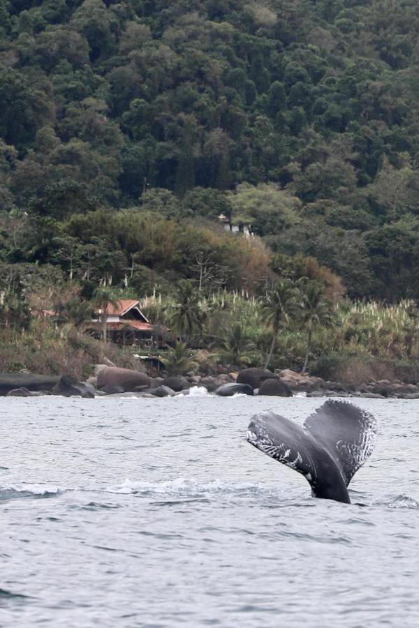 Sol-Lua Bangalo Com Uso Exclusivo Da Piscina Villa Ilhabela Bagian luar foto
