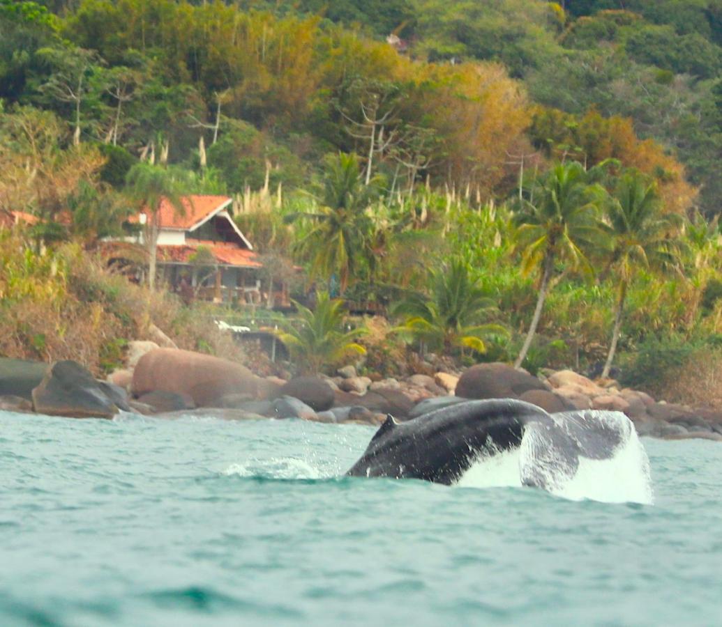 Sol-Lua Bangalo Com Uso Exclusivo Da Piscina Villa Ilhabela Bagian luar foto